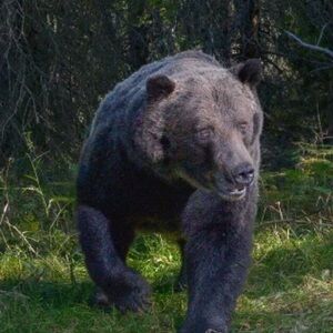 Meet your Posher, Terry